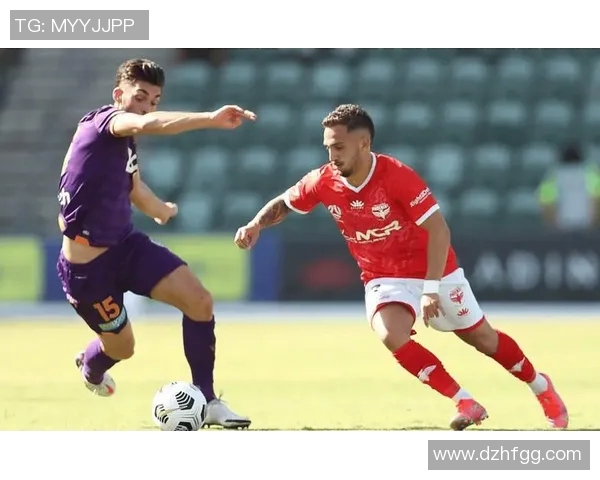 北京北控迎战惠灵顿凤凰力争主场胜利展现球队实力与风采