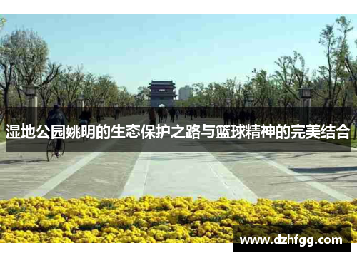 湿地公园姚明的生态保护之路与篮球精神的完美结合