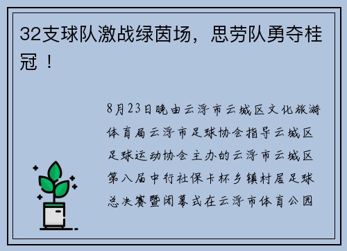 32支球队激战绿茵场，思劳队勇夺桂冠 ！